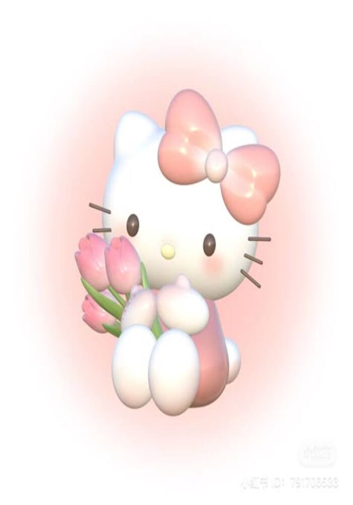 Nhân Đôi Sự Cute: Hình Ảnh 2 Hello Kitty Siêu Đáng Yêu